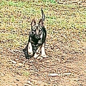 Meet your Posher, Noreen